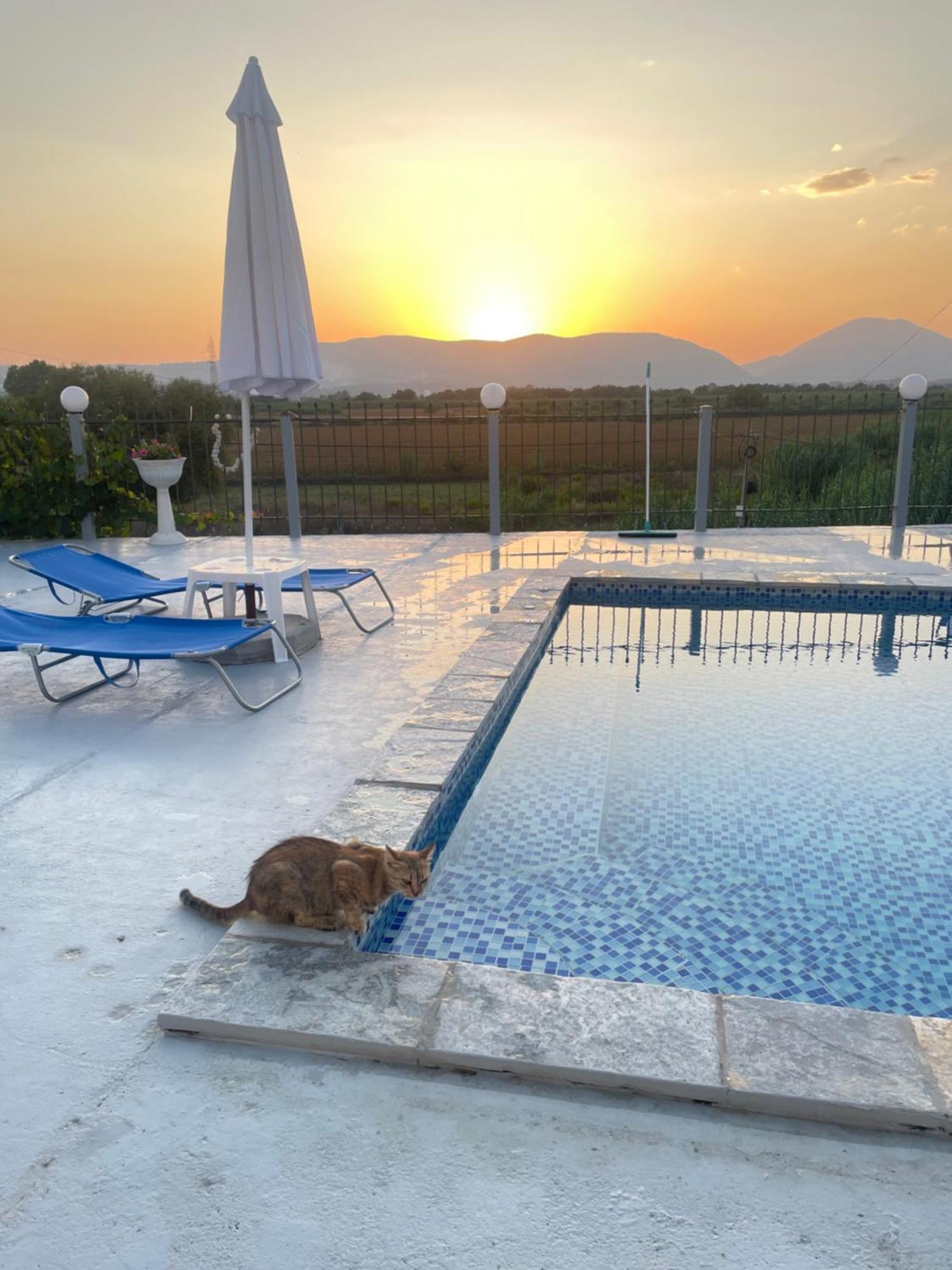 Anastasias Apartments Sarandë 외부 사진